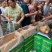 工厂直销铁棍山药饼4种口味一件10斤送录音广告布
