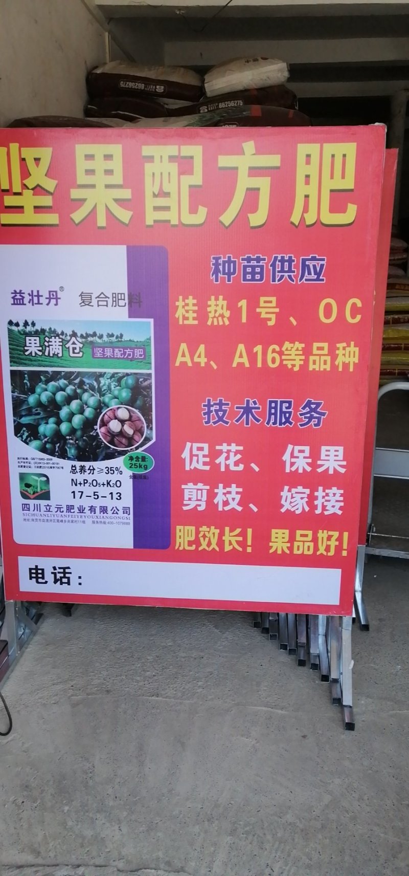 供应澳洲坚果嫁接苗，桂热一号，OC等品种