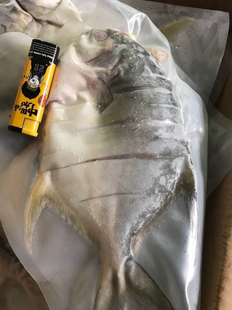 广东湛江金鲳鱼一夜埕鱼干具备生产许可证出口食品加工许可证