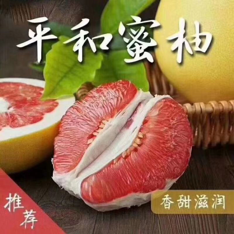 红心柚产地柚子果园采摘，保质保量，欢迎咨询订购