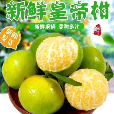 皇帝柑产地，口感好，汁多化渣，期待老板实地考察合作