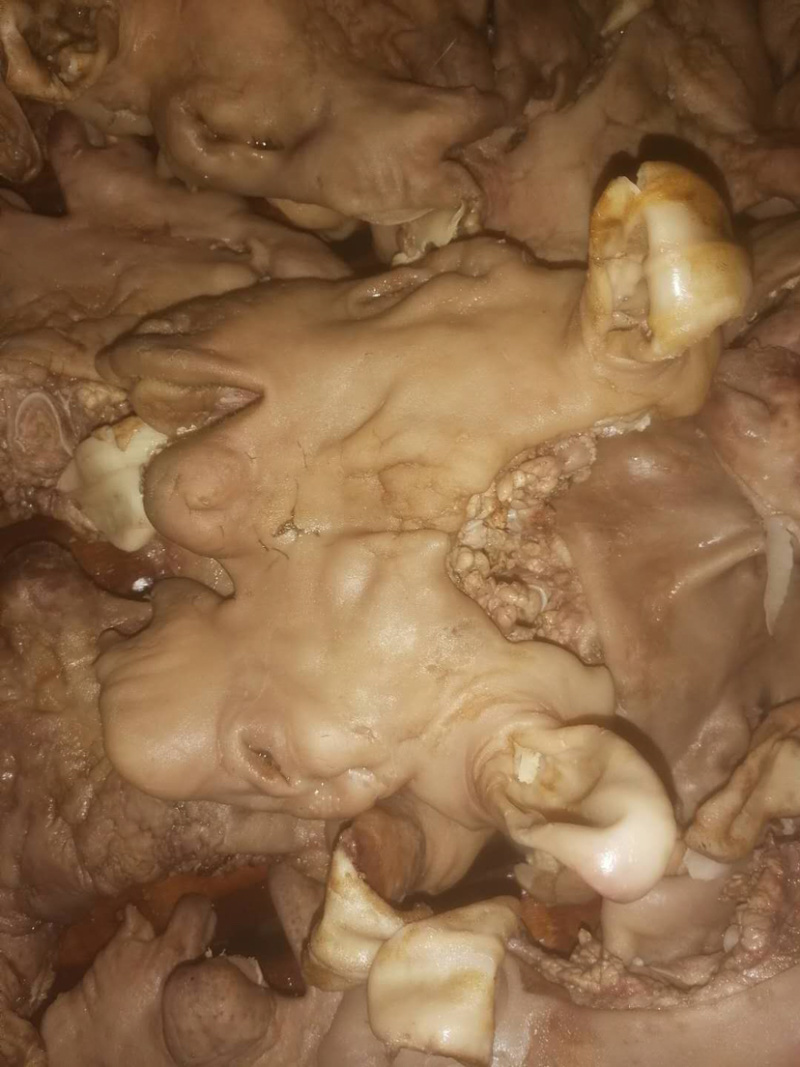 【精品加工】全熟五香羔羊头肉、火烧羔羊头量大从优