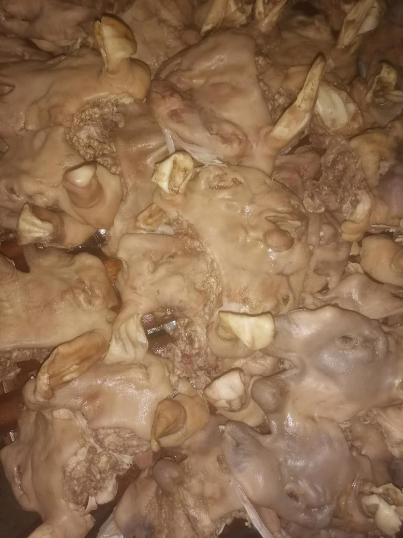 【精品加工】全熟五香羔羊头肉、火烧羔羊头量大从优