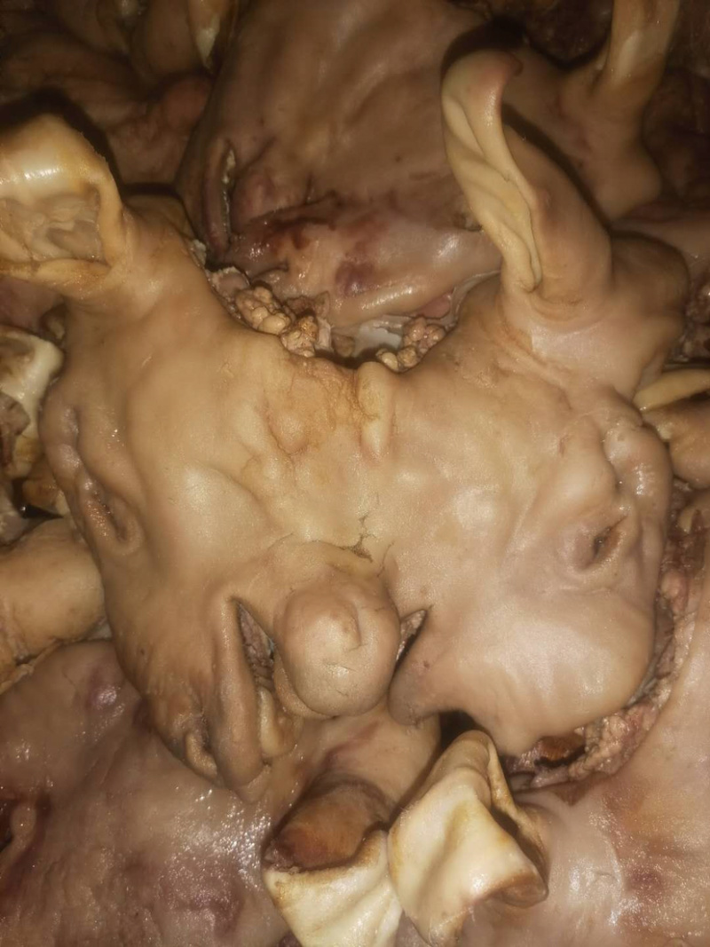 【精品加工】全熟五香羔羊头肉、火烧羔羊头量大从优