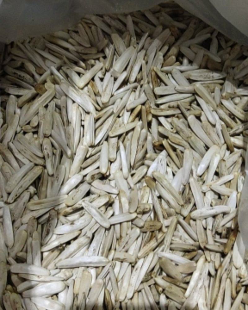 牙签瓜子，象牙瓜子，原味，五香，新货