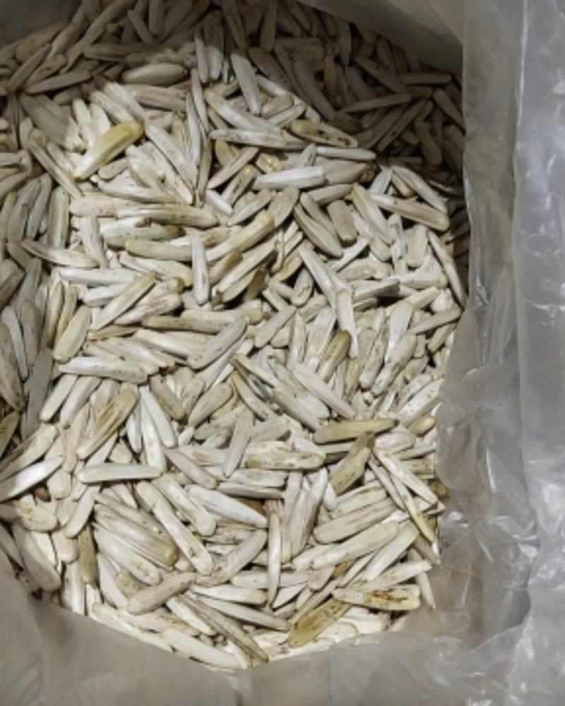牙签瓜子，象牙瓜子，原味，五香，新货