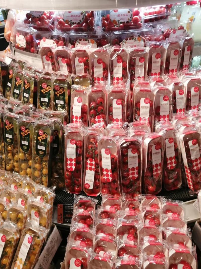 水果番茄日本品种有机水果