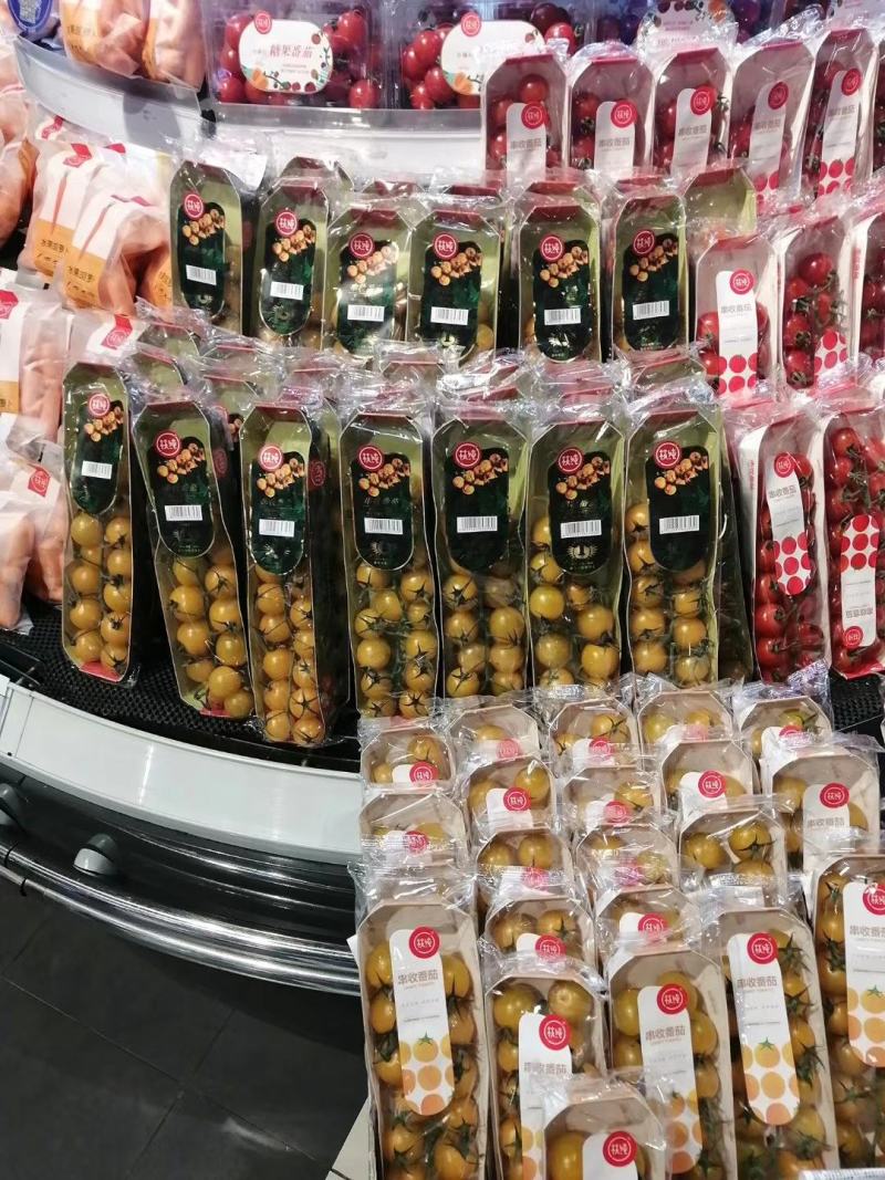 水果番茄日本品种有机水果