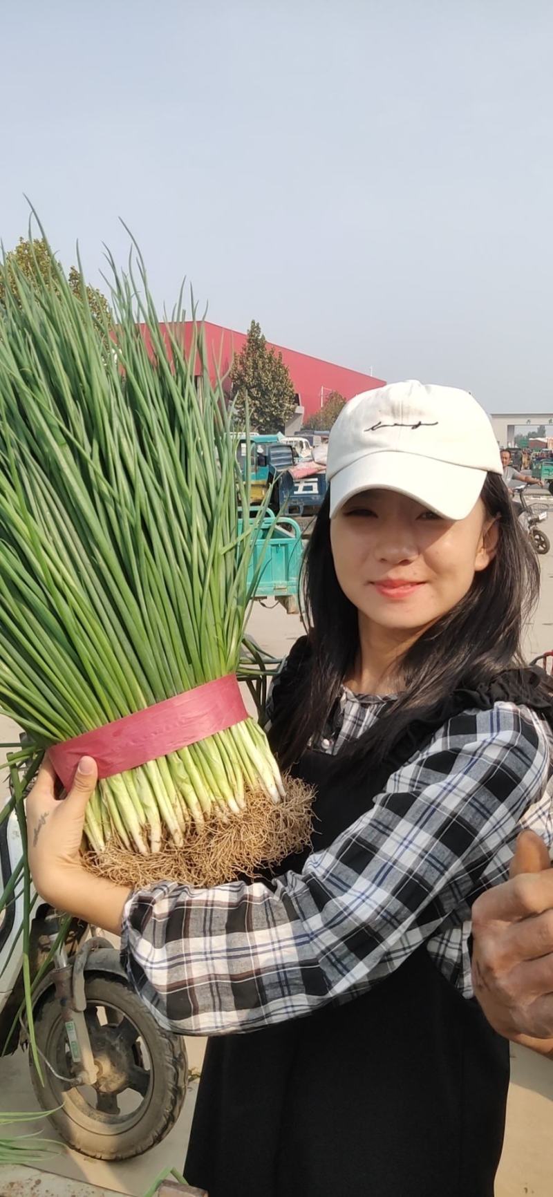 邯郸精品小葱，香葱大量上市中