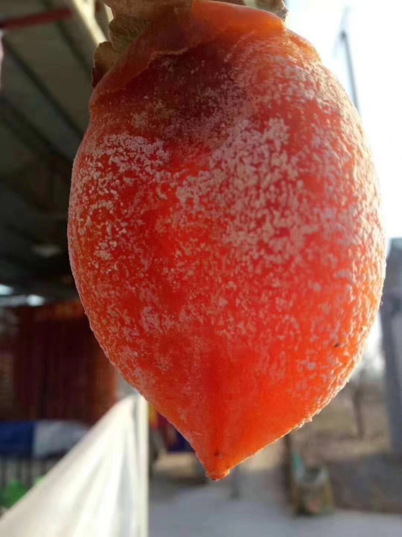 陕西富平精品柿饼一件代发对接电商微商平台的