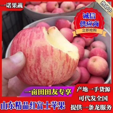 红富士苹果基地，口感脆甜多汁，产地代收代存代发，货源充足