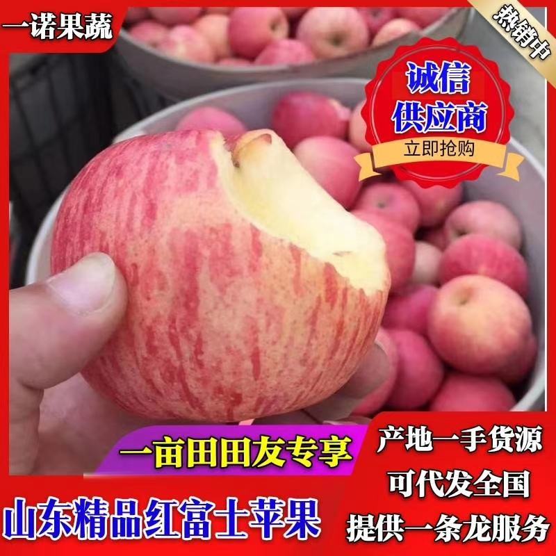 红富士苹果基地，口感脆甜多汁，产地代收代存代发，货源充足