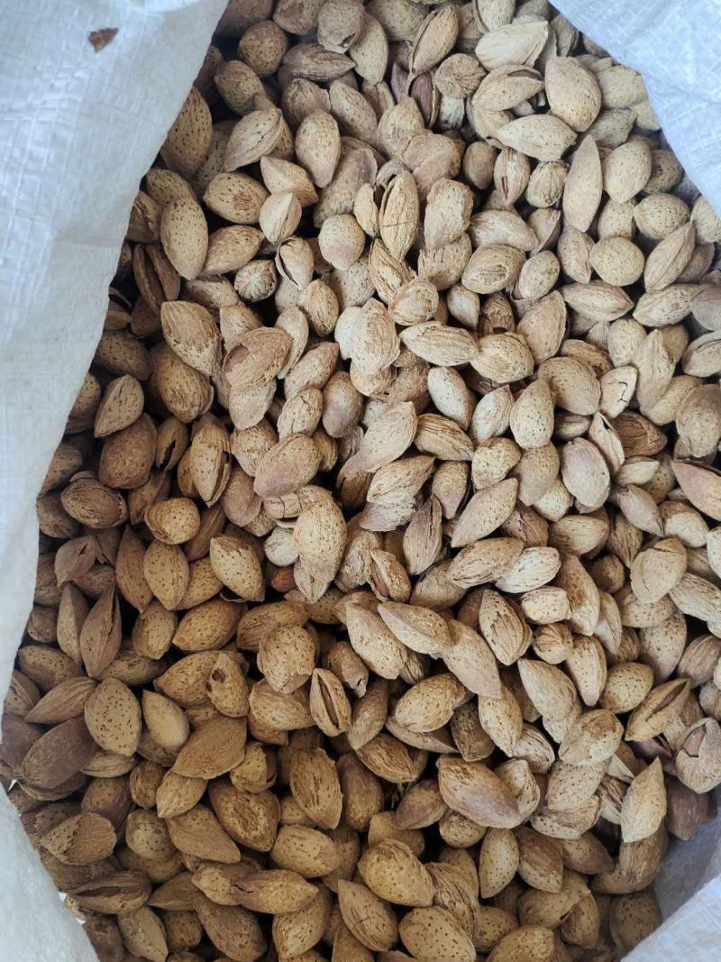 巴旦木纸皮薄壳的