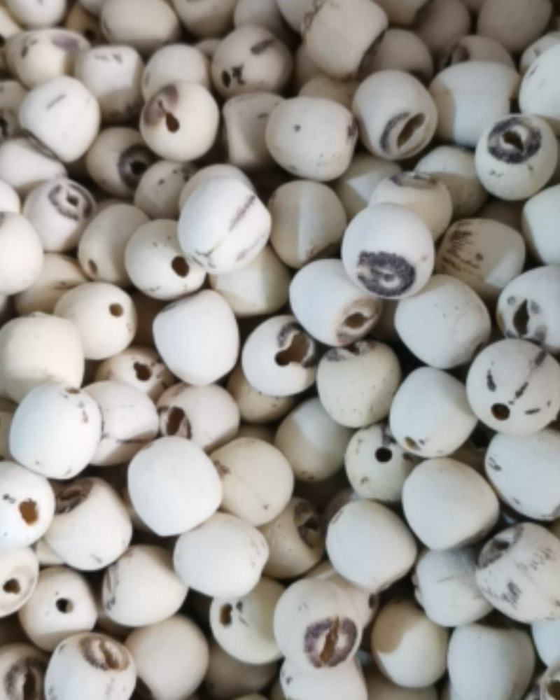 白莲子无硫磺质量保证