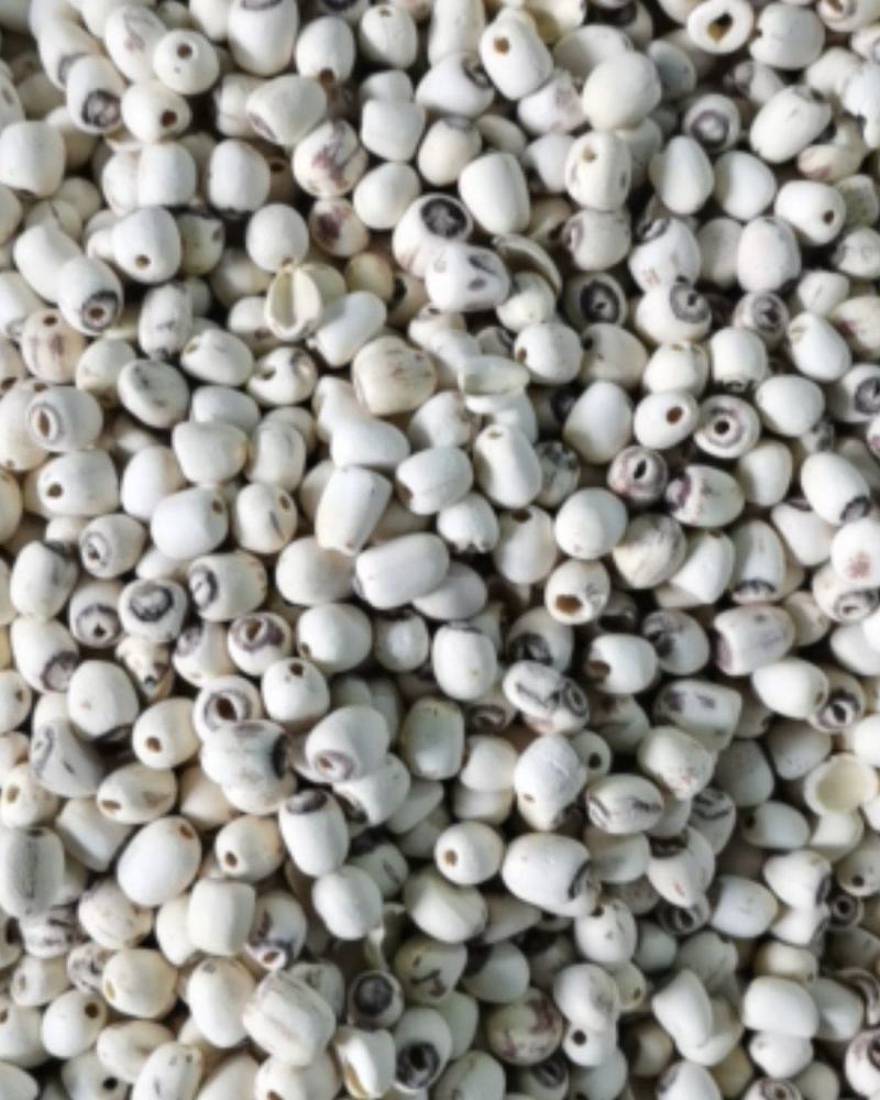 白莲子无硫磺质量保证
