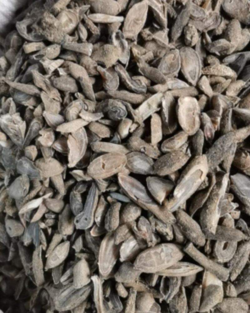 郁金无硫磺质量保证精品销售