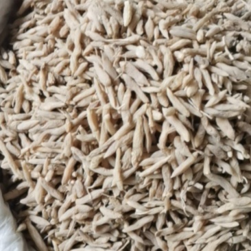 麦冬山东曹县麦冬质量保证
