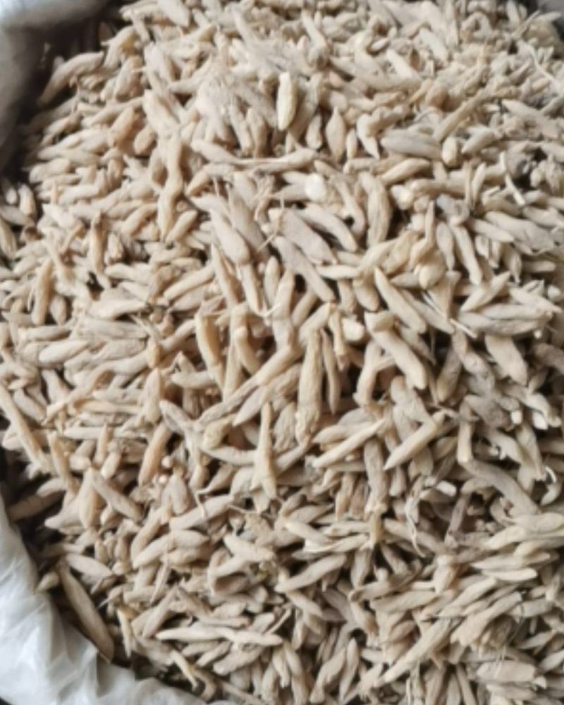 麦冬山东曹县麦冬质量保证