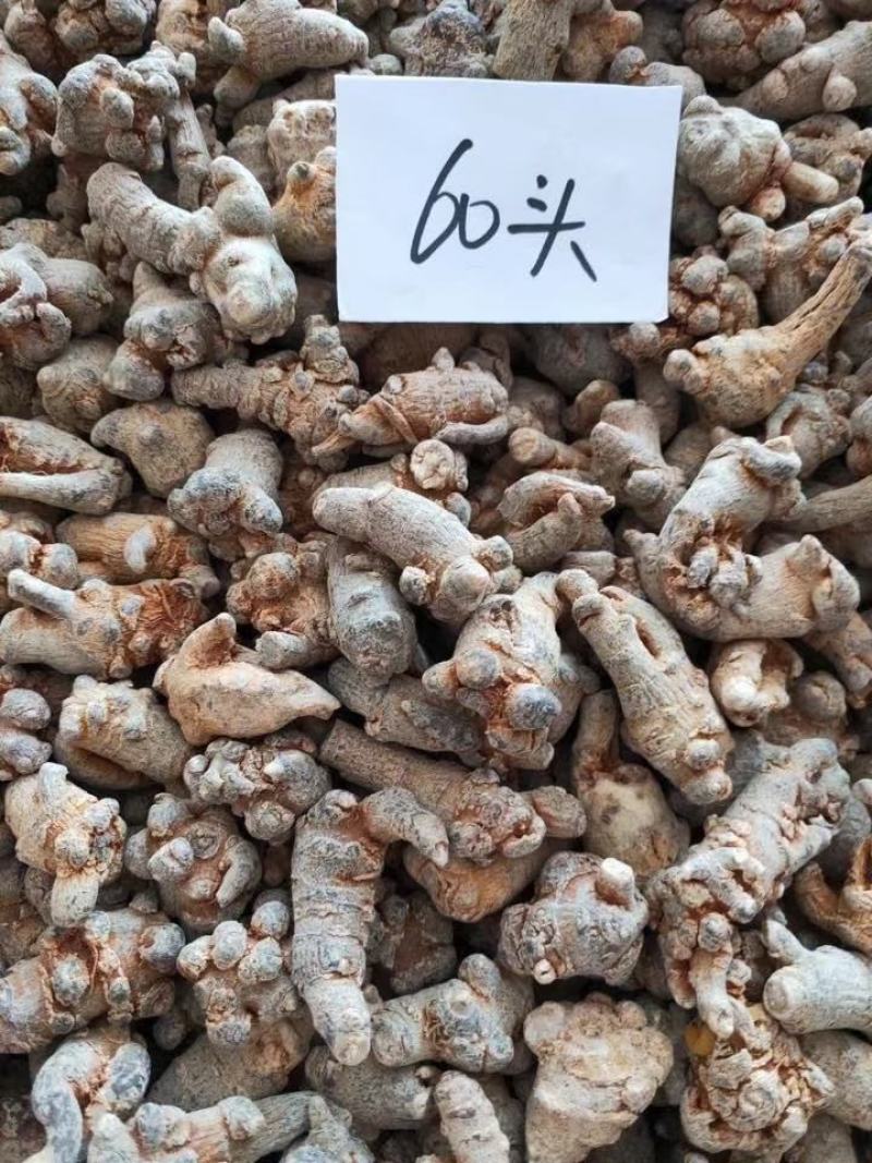文山特有三七产地价出如假包换