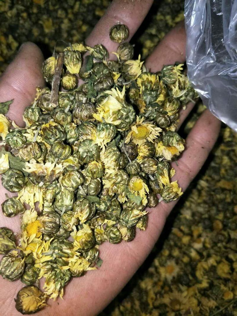 【精选】苏北菊药用菊花货量充足量大从优欢迎选购！