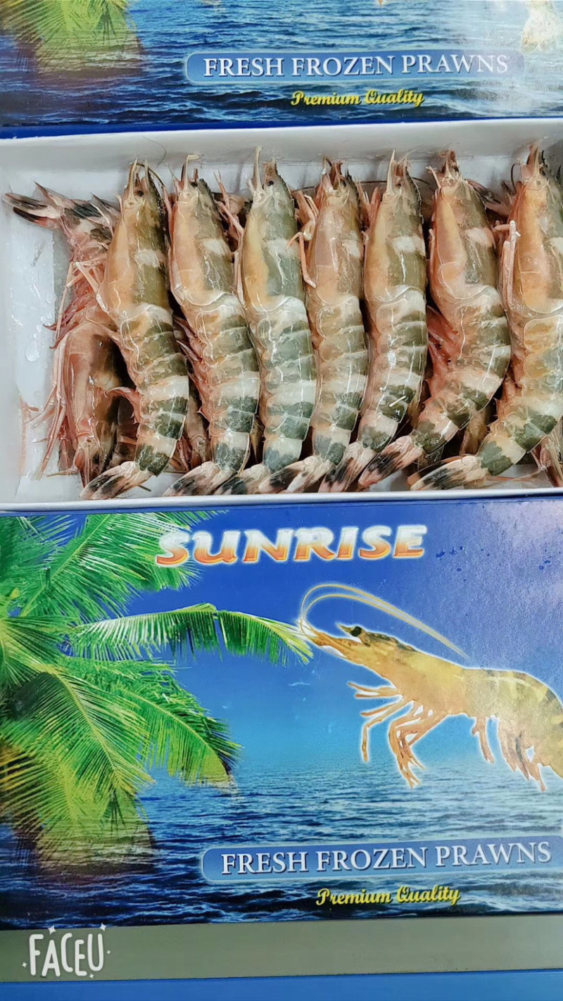 竹节虾/猫虎虾规格全质量保证今年新货