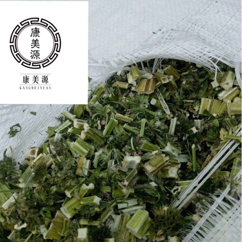 益母草泡脚益母草颜色青益母草坤草实心益母草