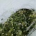 益母草泡脚益母草颜色青益母草坤草实心益母草
