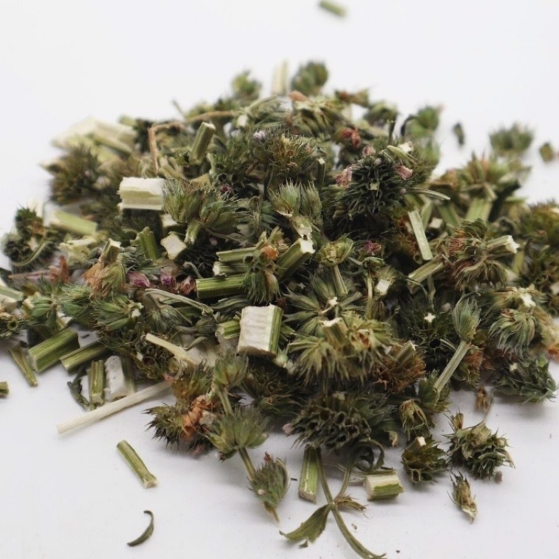 益母草泡脚益母草颜色青益母草坤草实心益母草