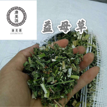 益母草泡脚益母草颜色青益母草坤草实心益母草