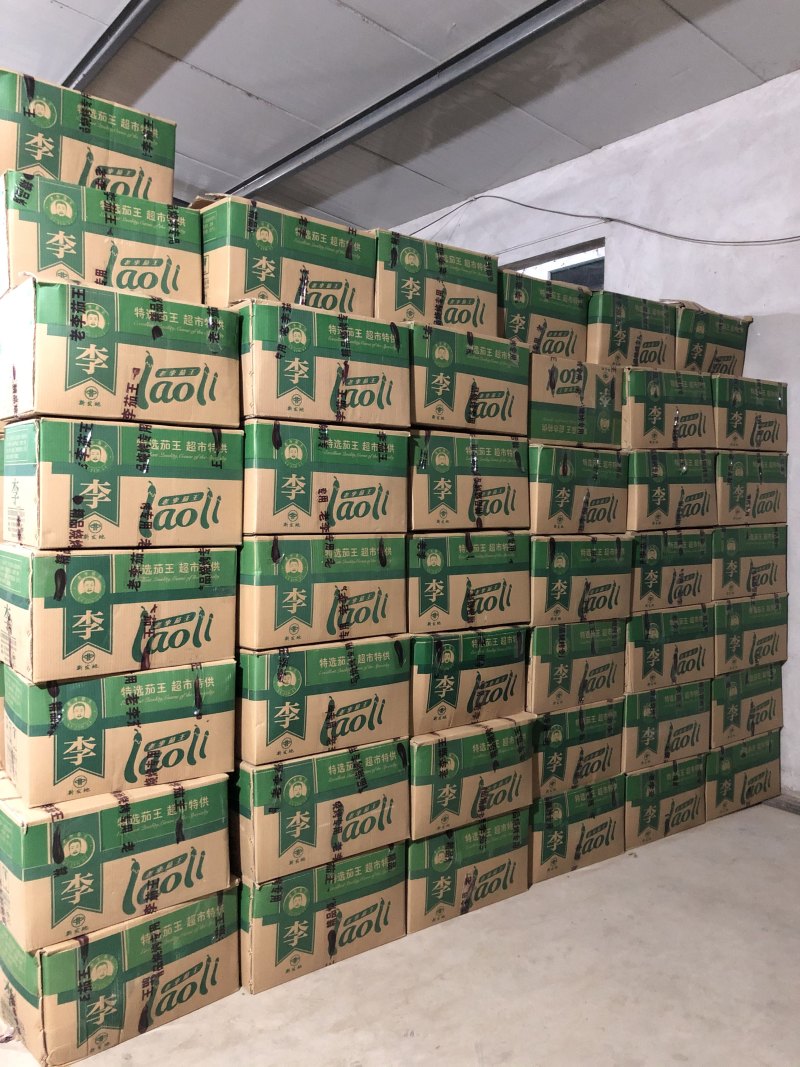精品765二茄，新鲜现货。单个20公分以上高品质