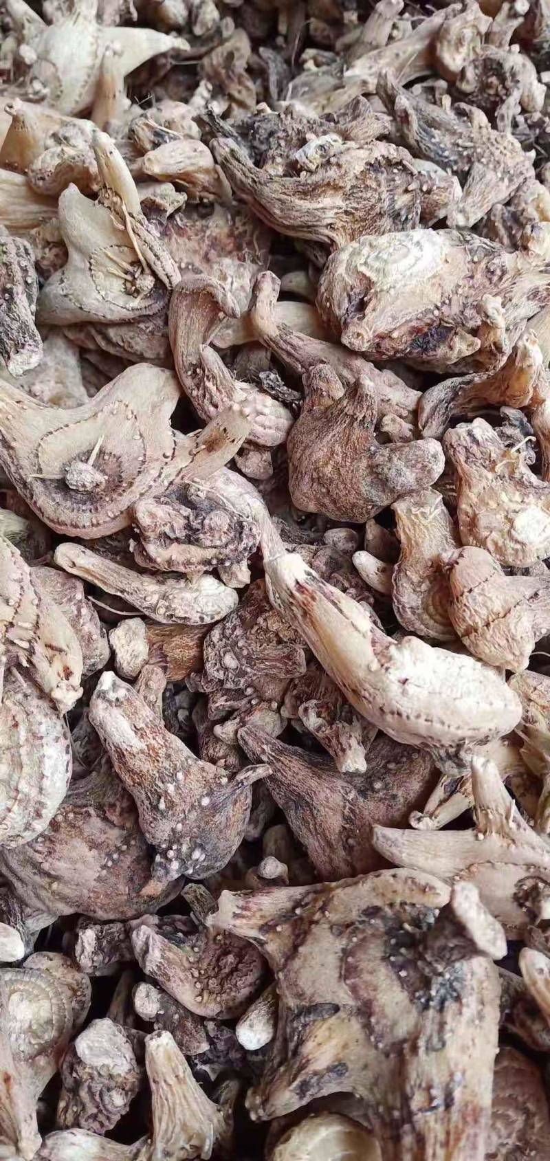 白芨批发量大从优精品之选一手货源保障
