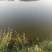 朱赵鑫河水产。河道鲫鱼！水质清澈！寻求水产养殖合作伙伴！