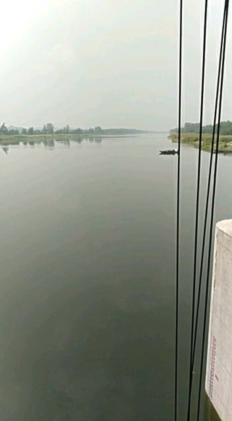 朱赵鑫河水产。河道鲫鱼！水质清澈！寻求水产养殖合作伙伴！