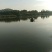 朱赵鑫河水产。河道鲫鱼！水质清澈！寻求水产养殖合作伙伴！