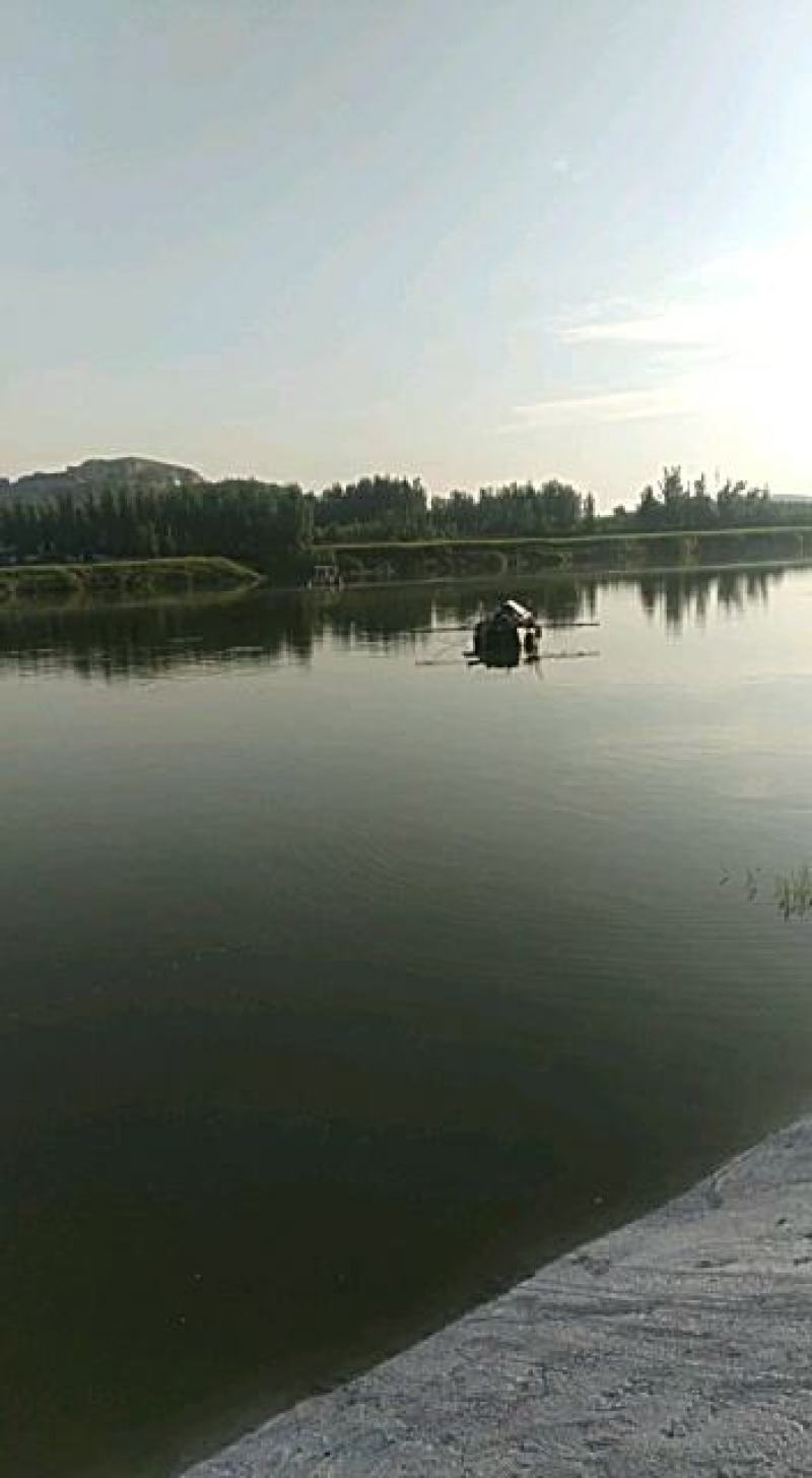 朱赵鑫河水产。河道鲫鱼！水质清澈！寻求水产养殖合作伙伴！