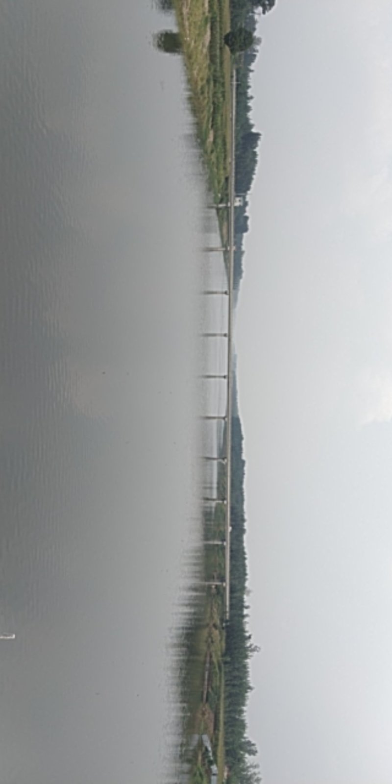 朱赵鑫河水产。河道鲫鱼！水质清澈！寻求水产养殖合作伙伴！