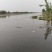 朱赵鑫河水产。河道鲫鱼！水质清澈！寻求水产养殖合作伙伴！
