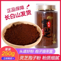 长白山灵芝孢子粉自家种植一手货源产地直供