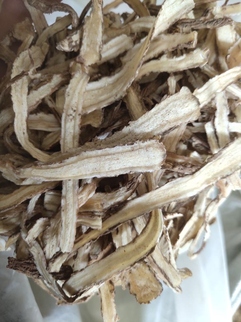 当归选节子条中片无硫批发零售1000g起批关书药业