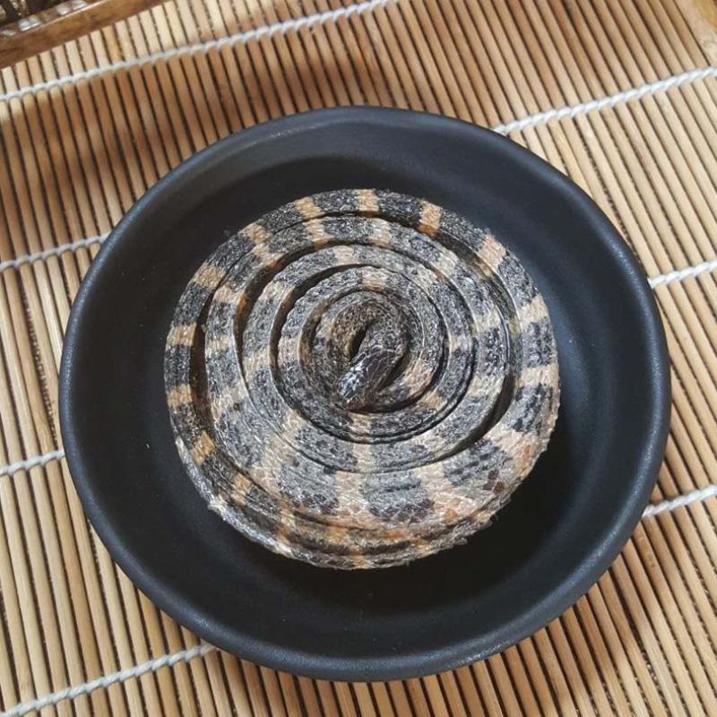 金钱白花蛇真品保证可打粉各种规格大货供应