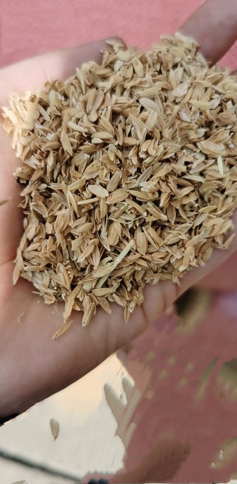 除尘无杂质长壳散包稻壳