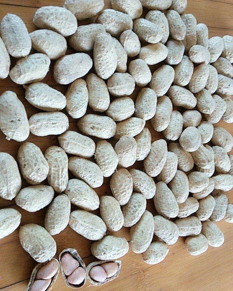 河南社旗花生干花生罗汉果花生货源充足价格实惠