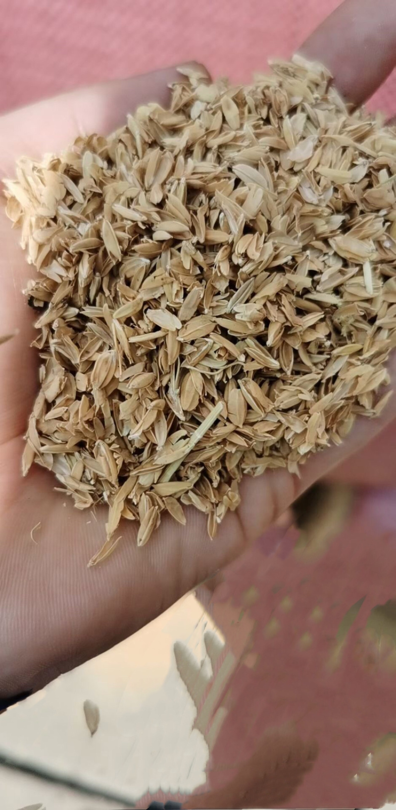 除尘无杂质长壳散包稻壳