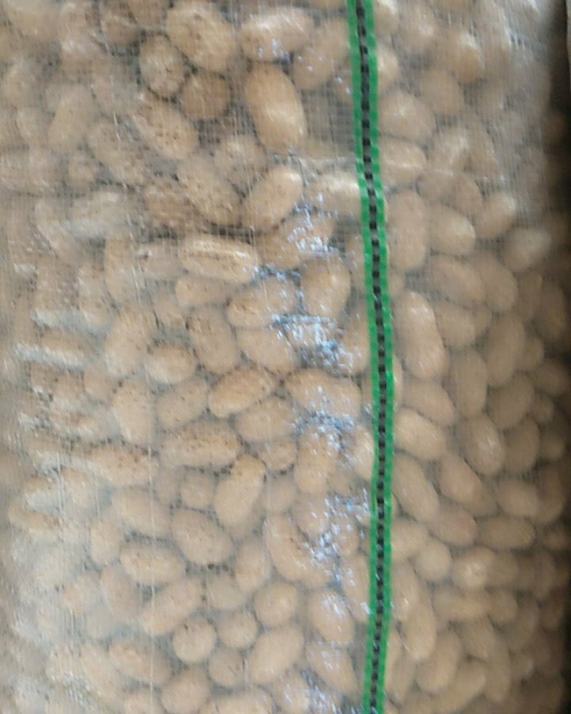 南阳今年新货花生干花生罗汉果花生以质量求生存产地直供