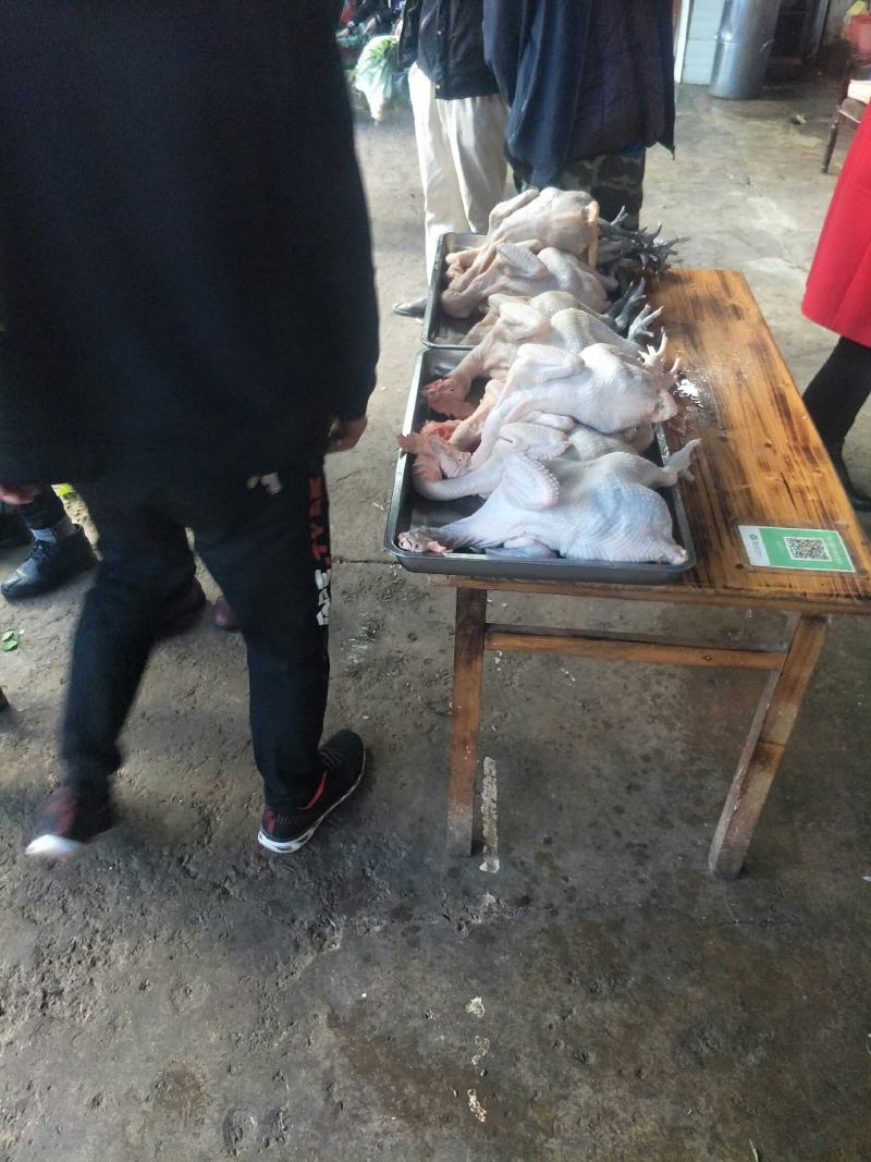云滇放养纯正玉米虫草土鸡白条真空包装。