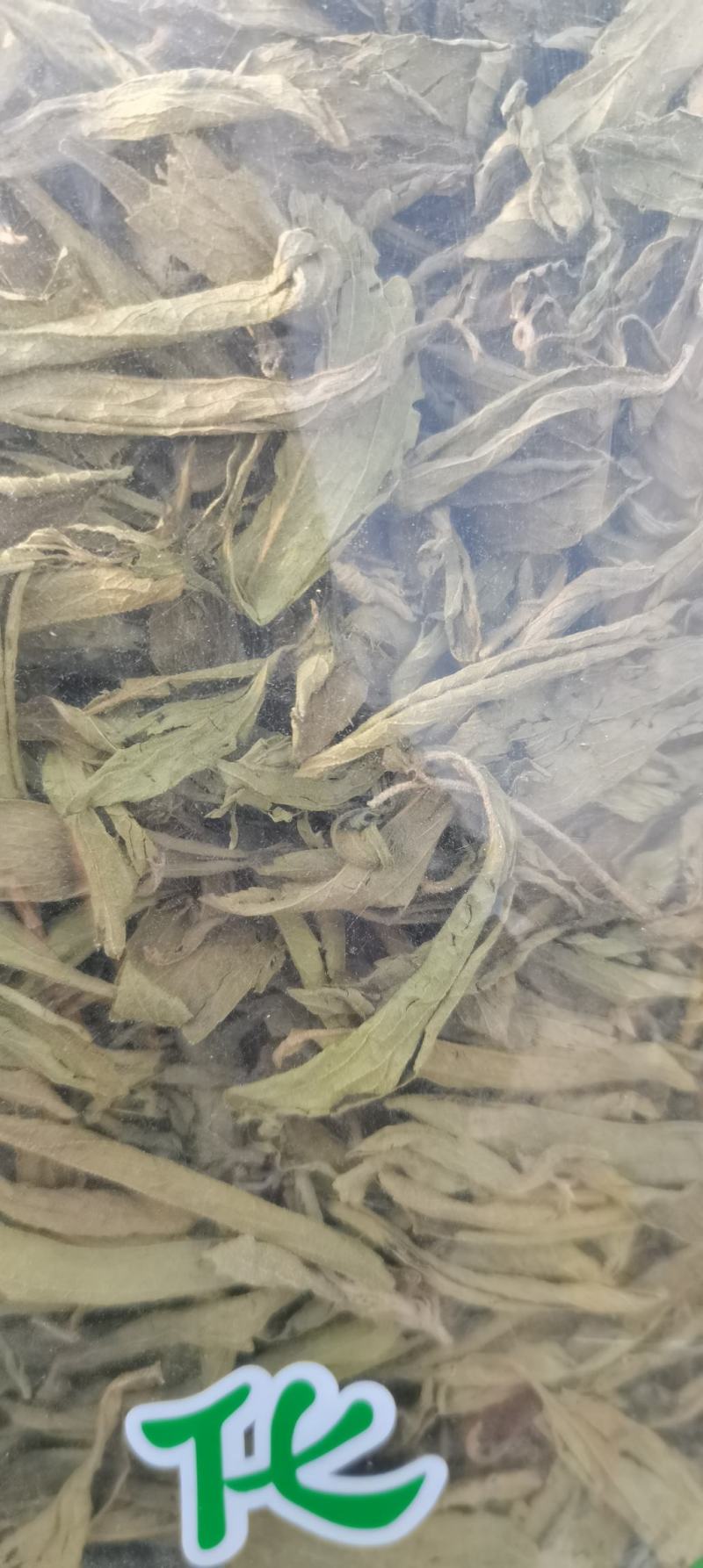 甜叶菊甜叶菊茶糖的替代品糖度高低热量