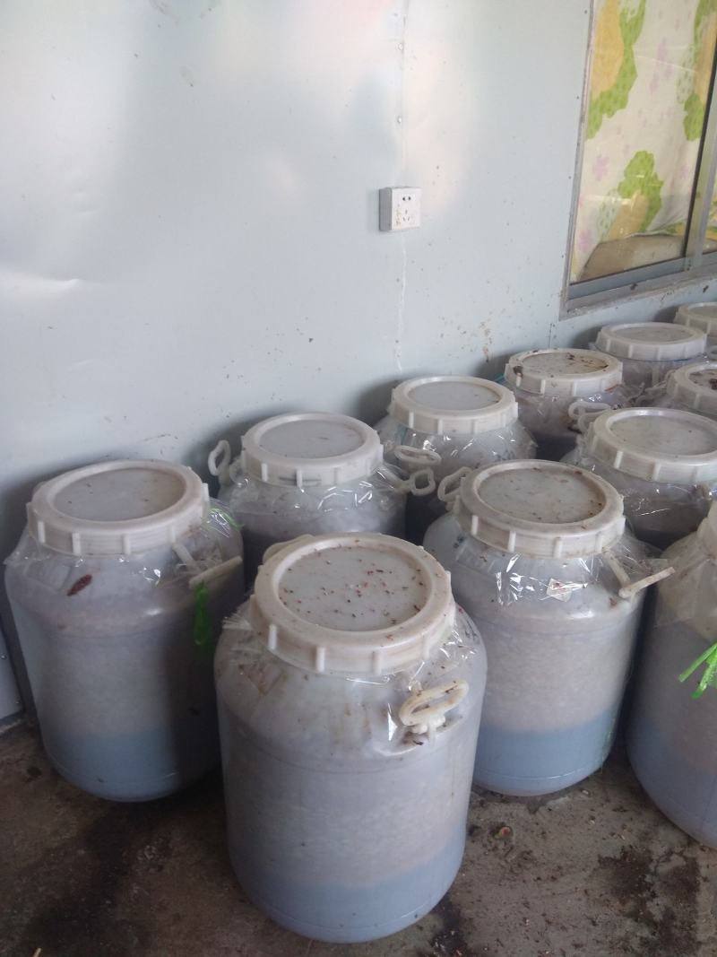无花果发酵果汁可用于红酒和白酒，量大优惠
