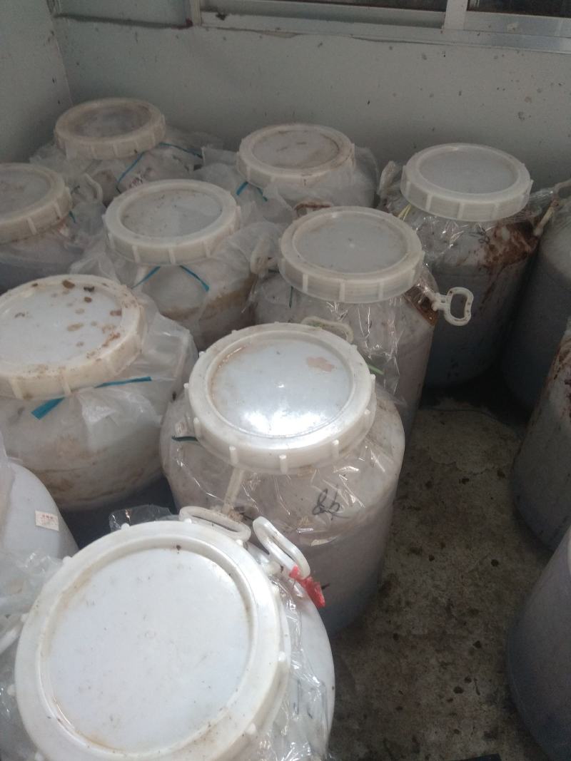 无花果发酵果汁可用于红酒和白酒，量大优惠