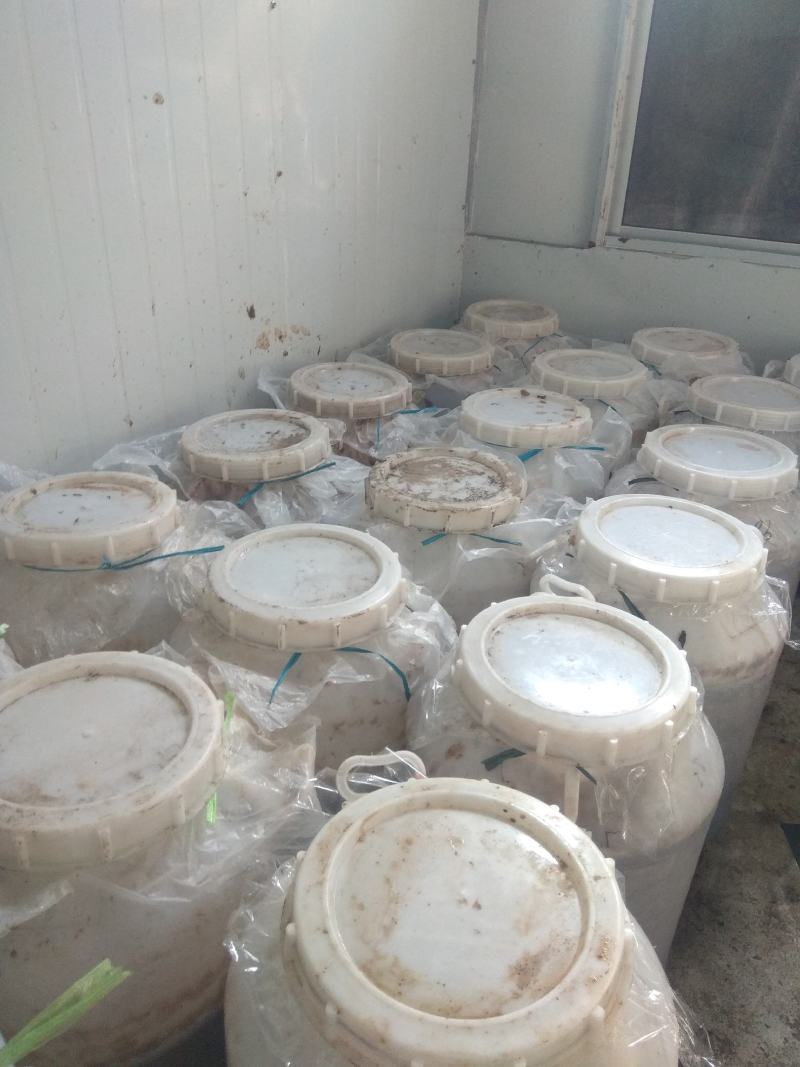无花果发酵果汁可用于红酒和白酒，量大优惠