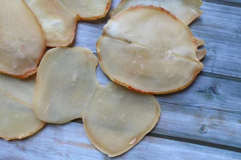 广州人大号响螺片响螺肉高蛋白低脂肪支持批发代发